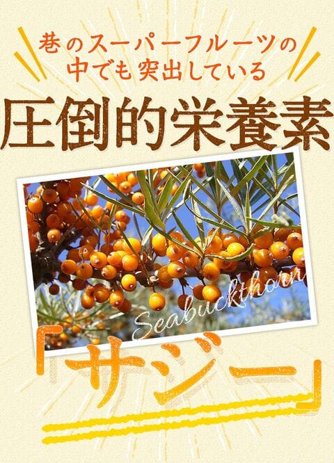 スーパーフルーツサジー