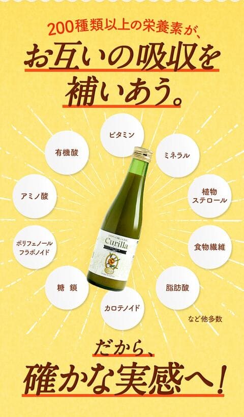 サジー 栄養素